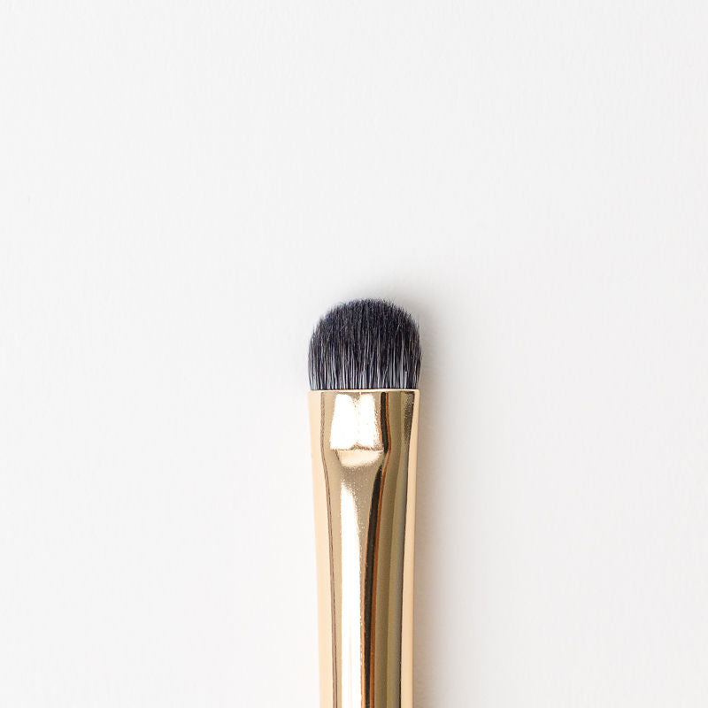Cleansing Brush