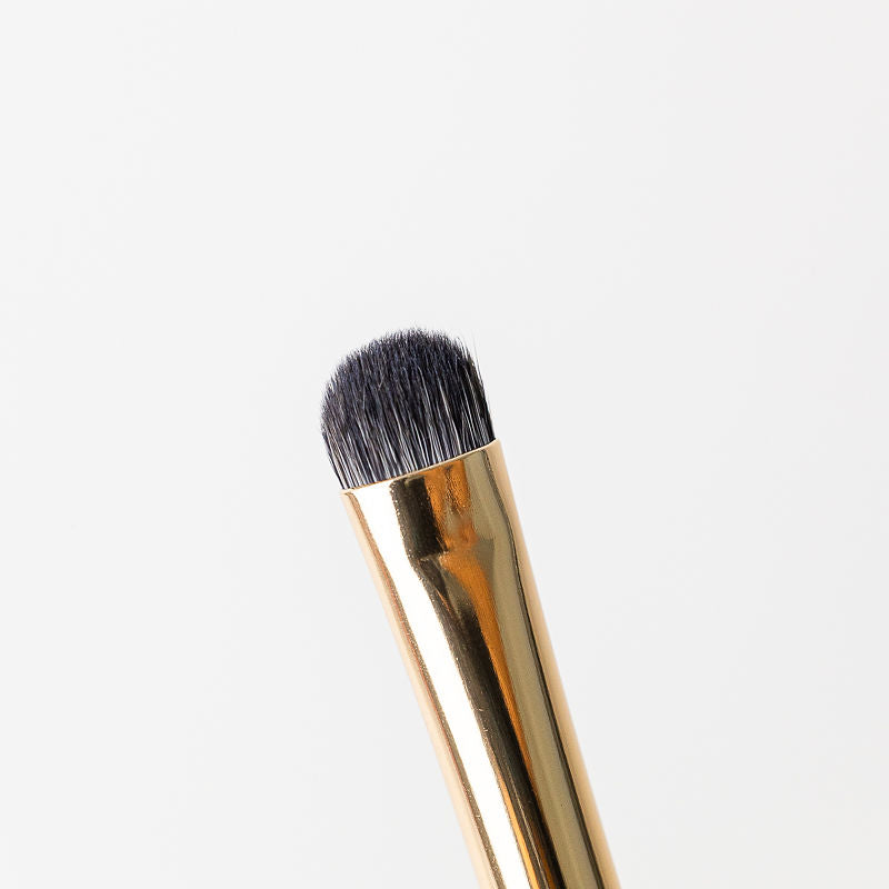 Cleansing Brush